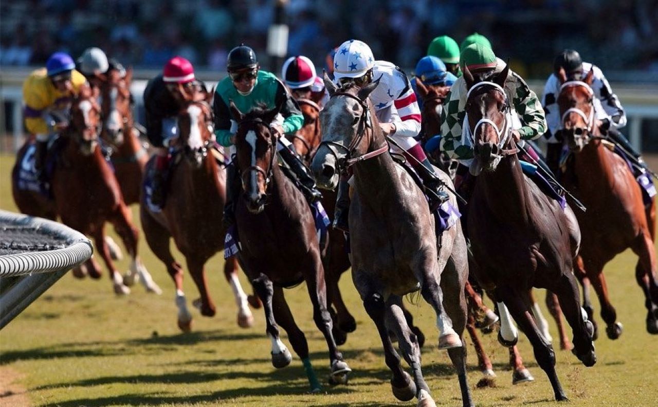 Friday Horse Racing Tips: James Mackie’s Selections at Kempton